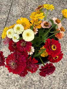 Bucket of Joy pre-order • bulk flowers