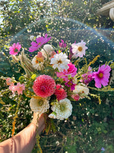 Load image into Gallery viewer, 5 Bouquet Flower Subscription
