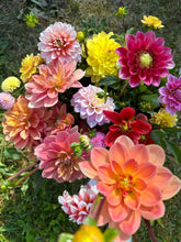 Load image into Gallery viewer, Bucket of Joy pre-order • bulk flowers
